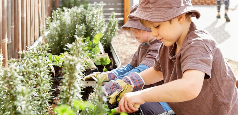 Aged Care Gardening