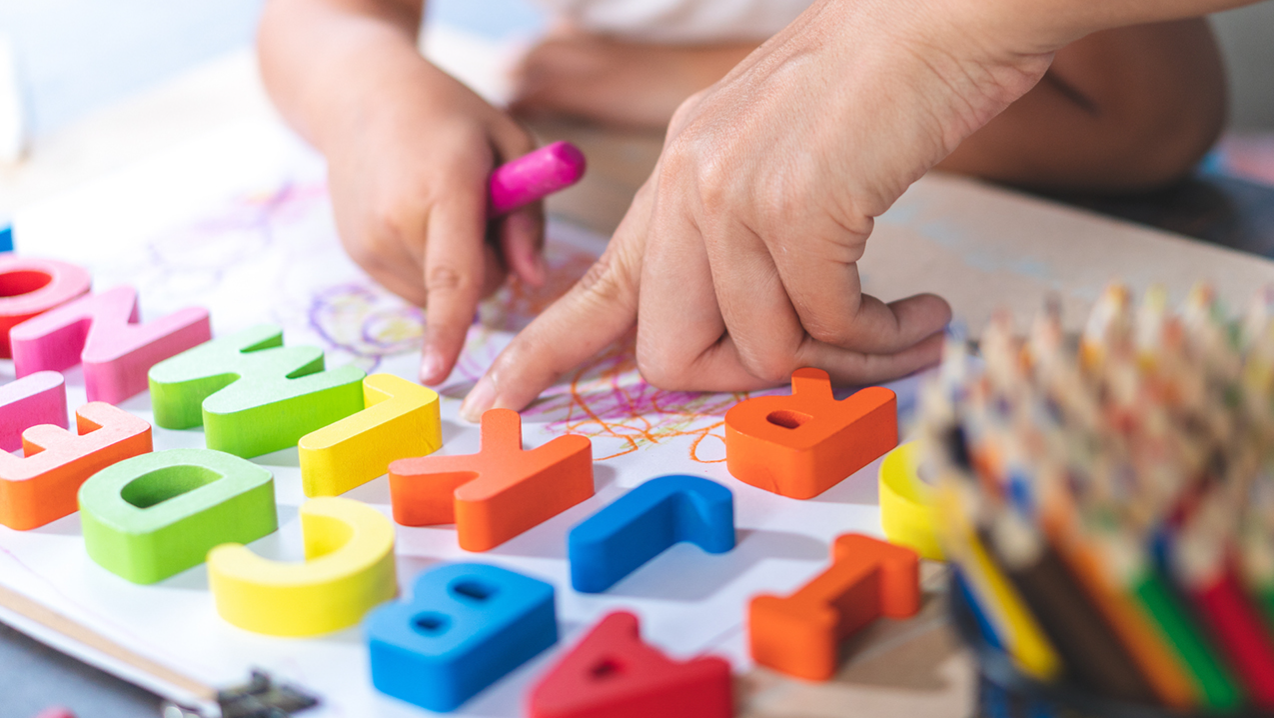 About the Curriculum