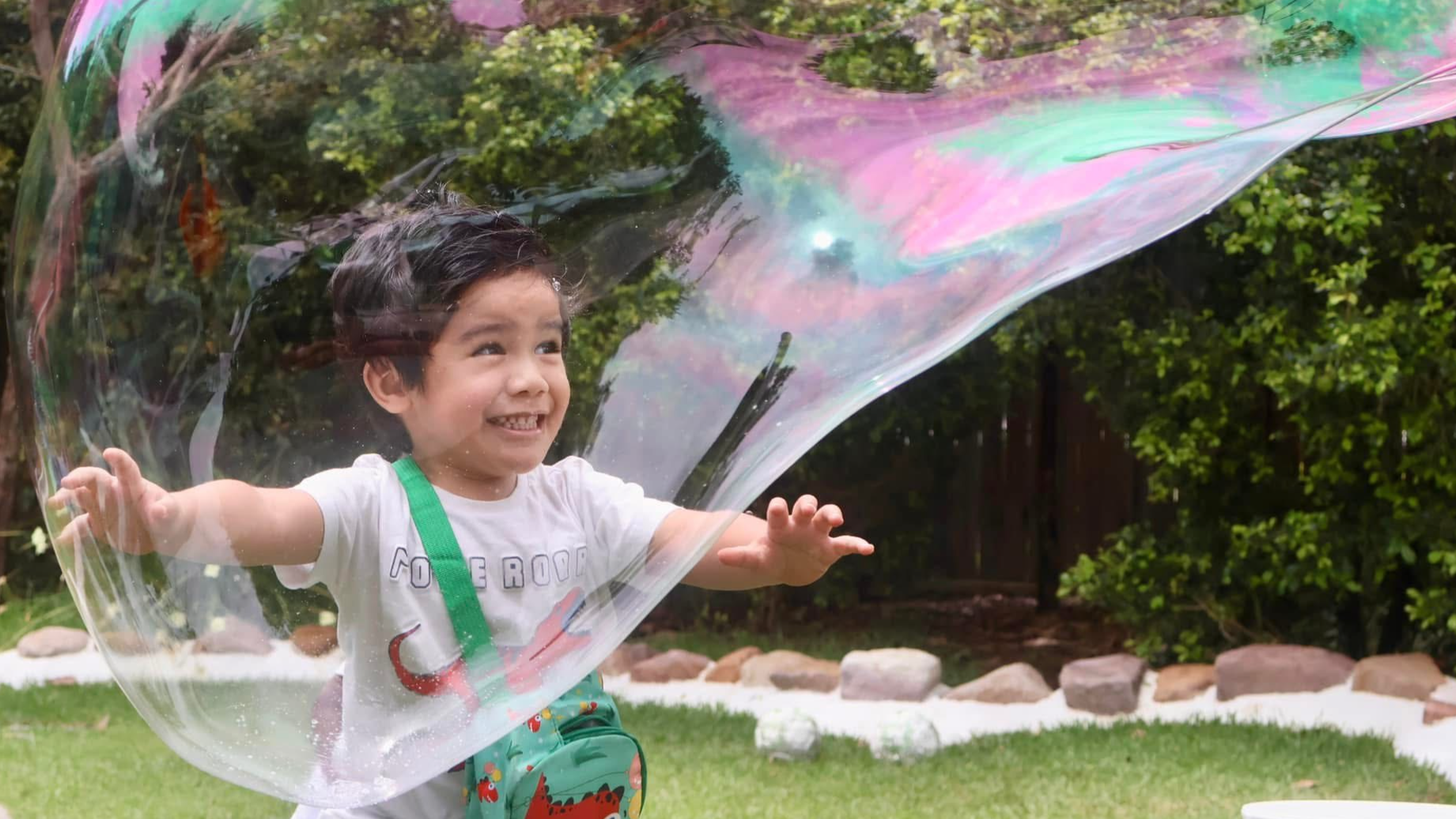 About the Curriculum