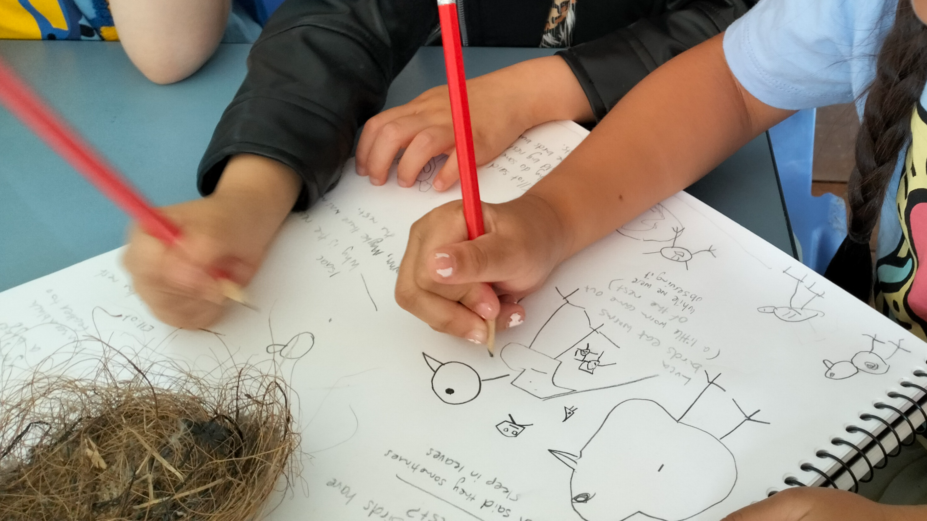 Kindergarten/Preschool Programs