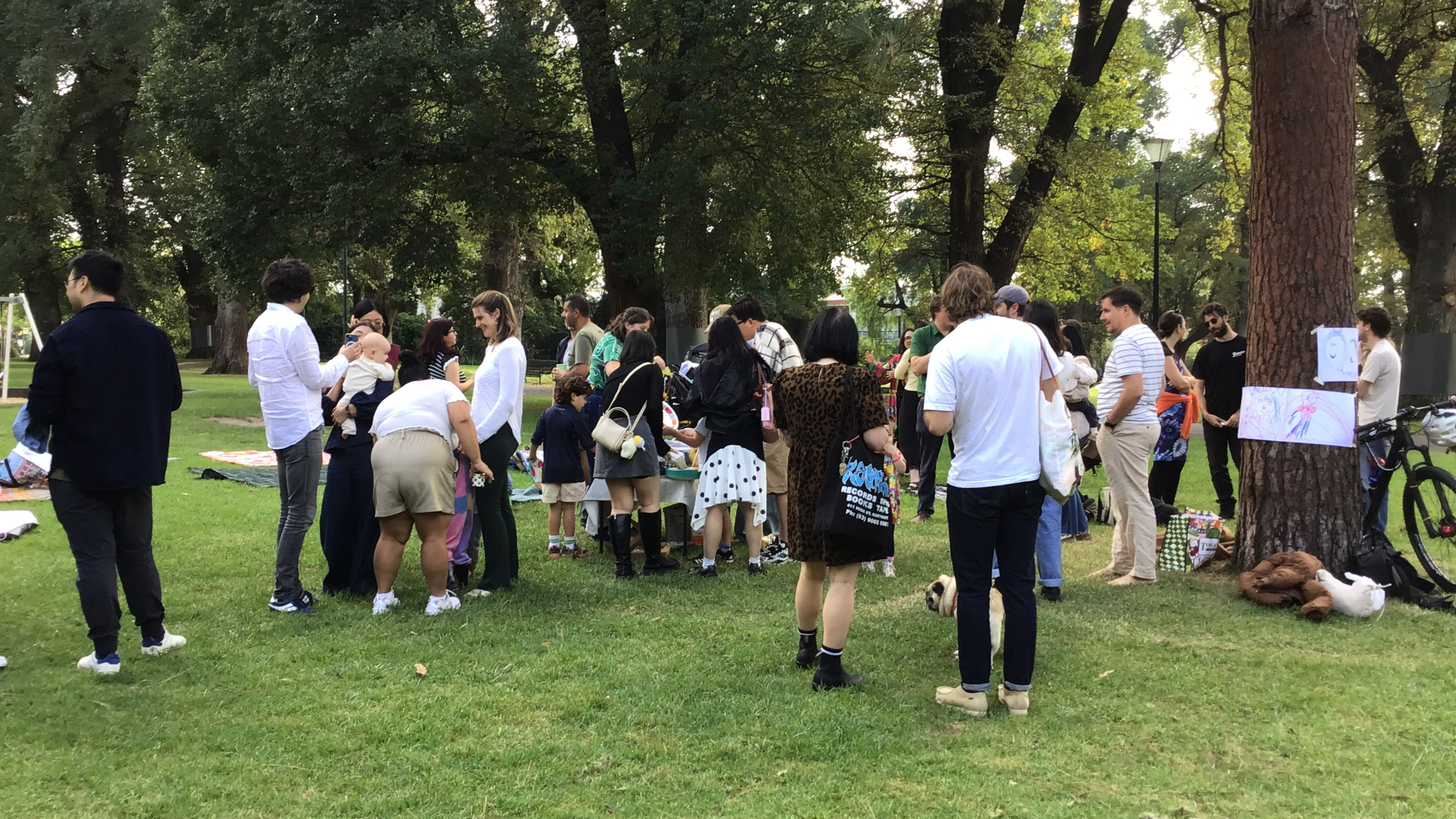 Parent communication and involvement