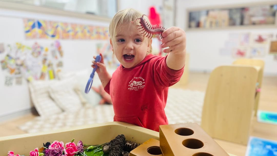 About the Curriculum