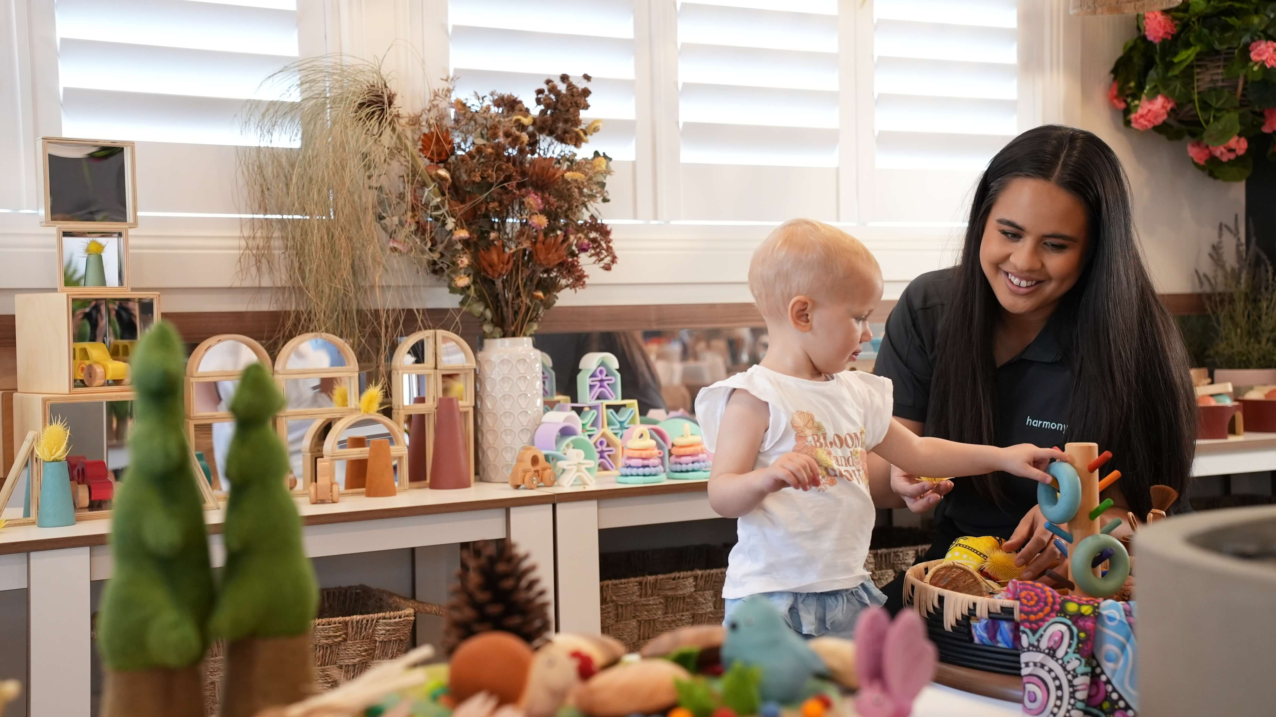 About the Curriculum