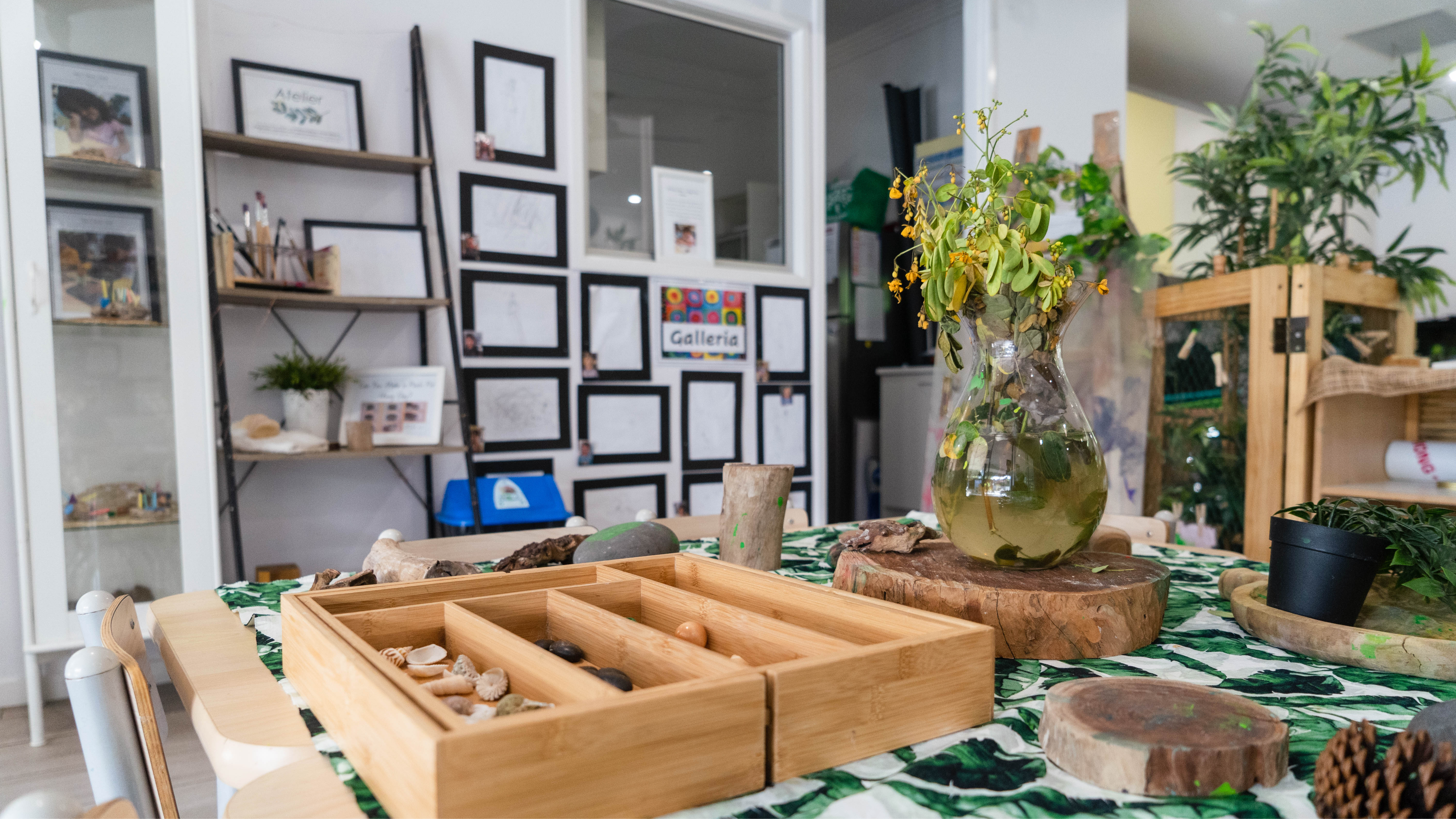 About the Curriculum