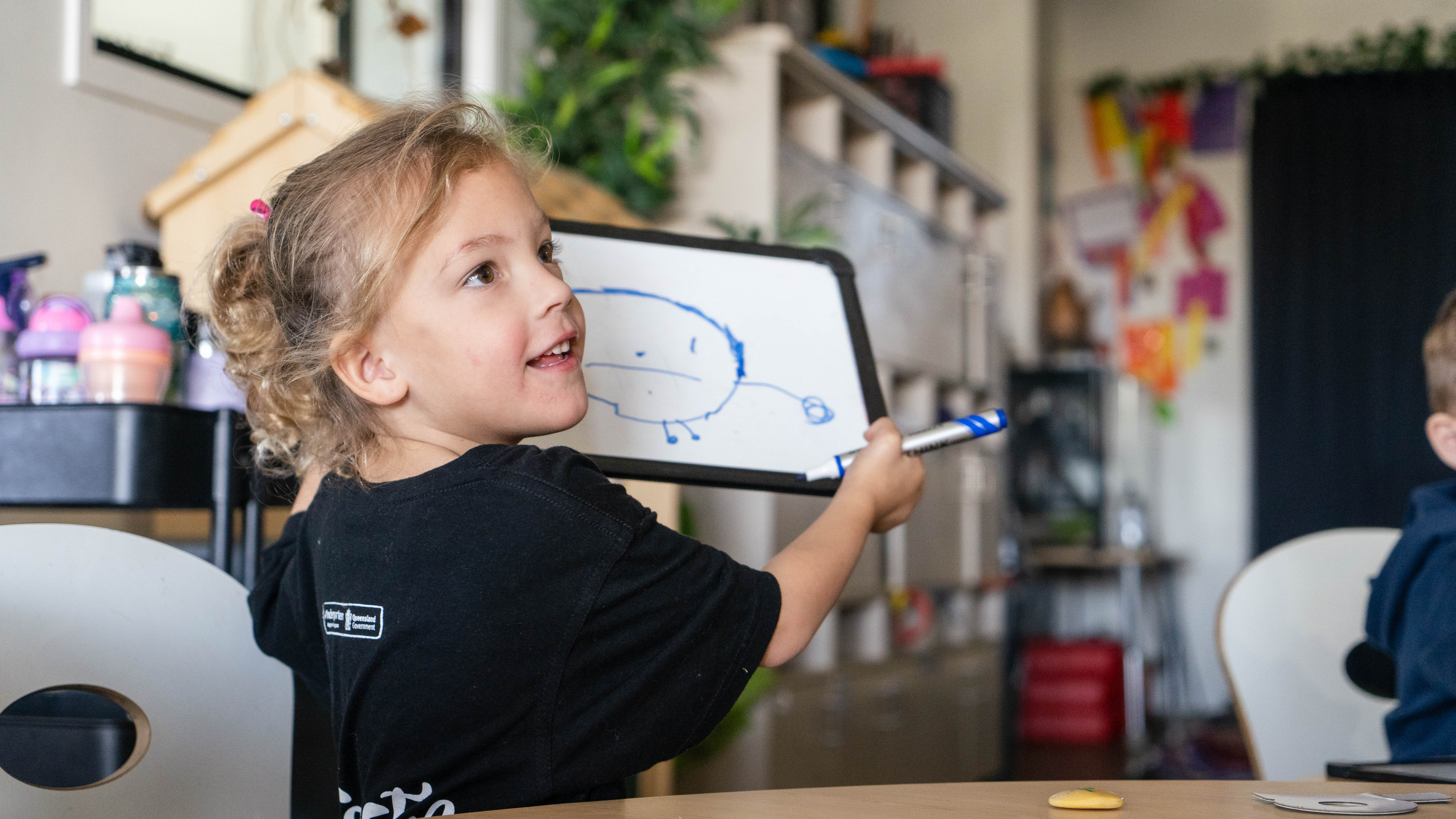 About the Curriculum