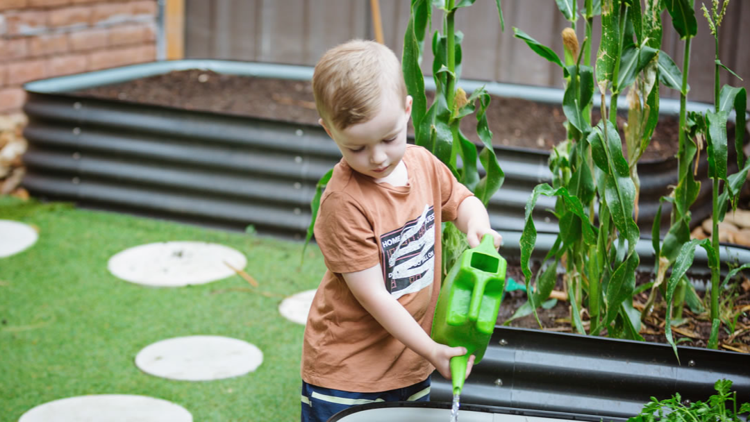 About the Curriculum