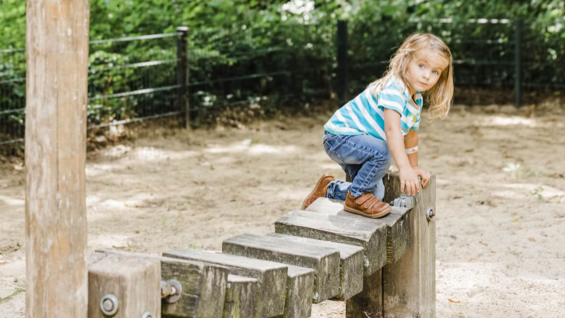 About the Curriculum