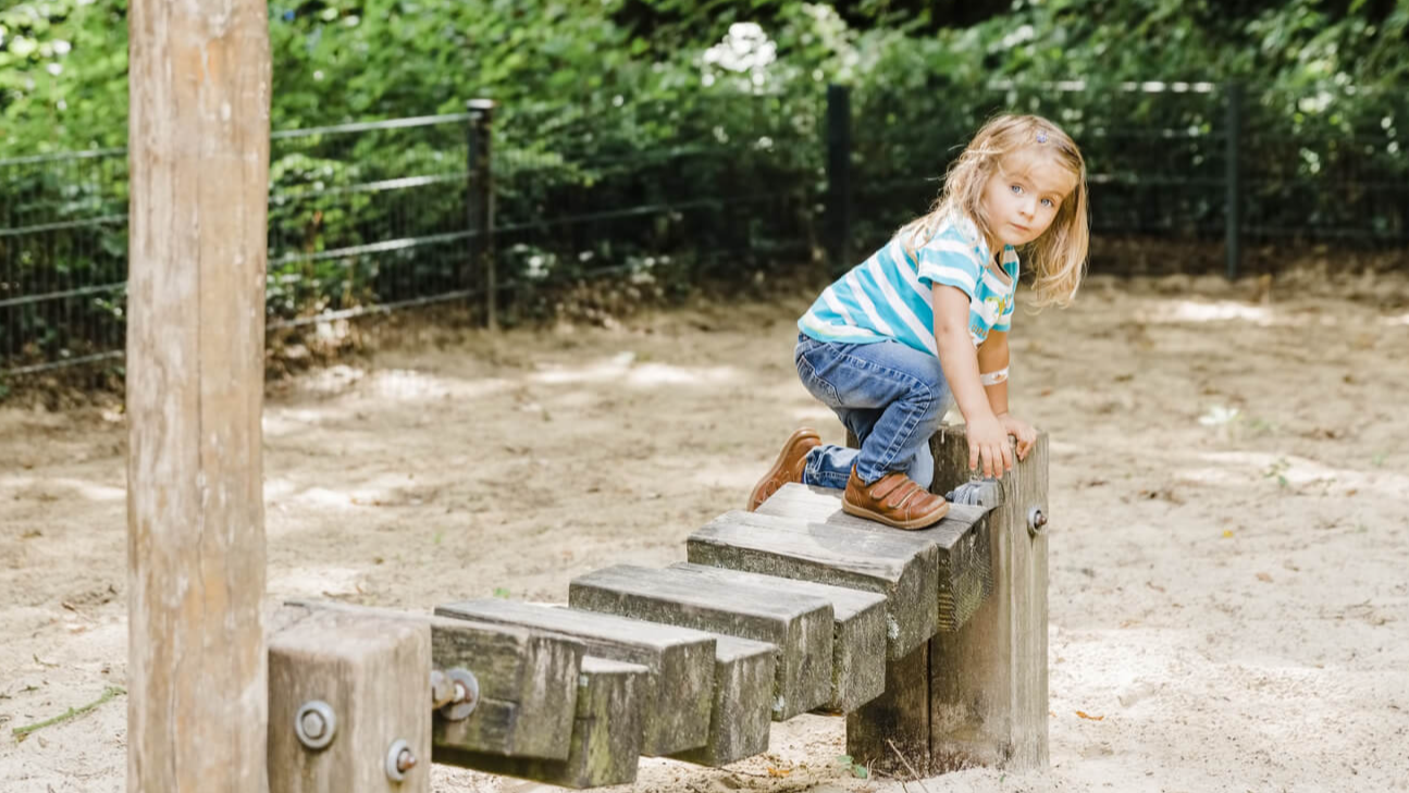 About the Curriculum