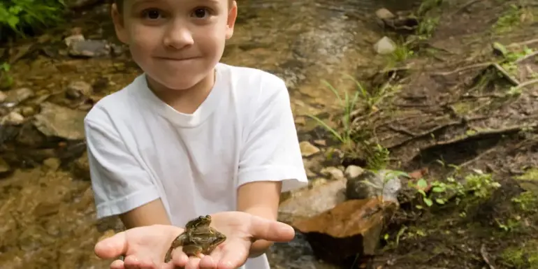 Celebrating 10 years of Nature Play