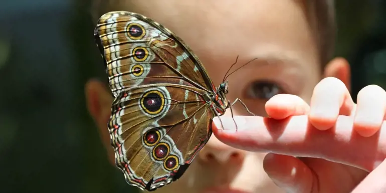 The learning philosophies guide for parents 