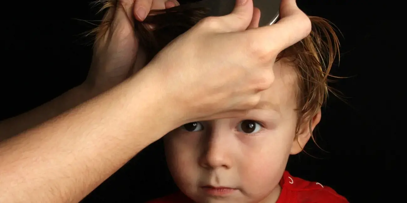 Blog Image for article Childcare and head lice
