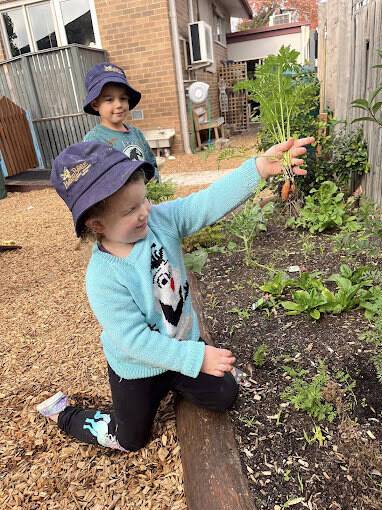 Sparrow Early Learning Bayswater