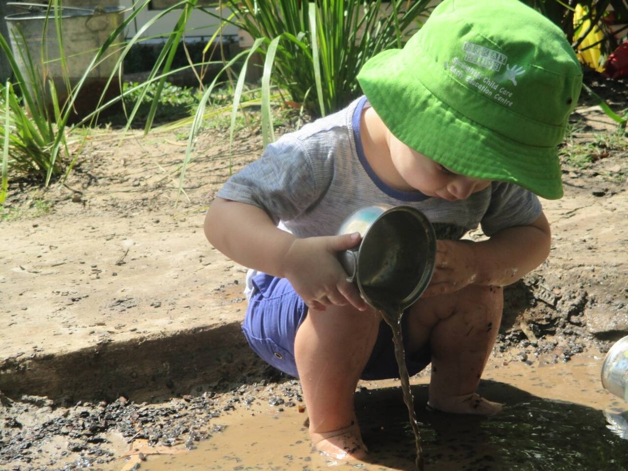 Springfield Child Care And Early Education Centre