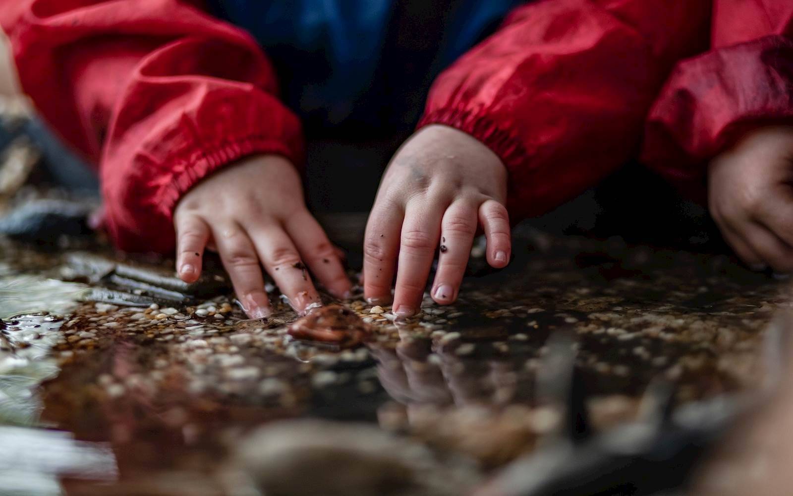 Discovery Early Learning Centre - Launceston