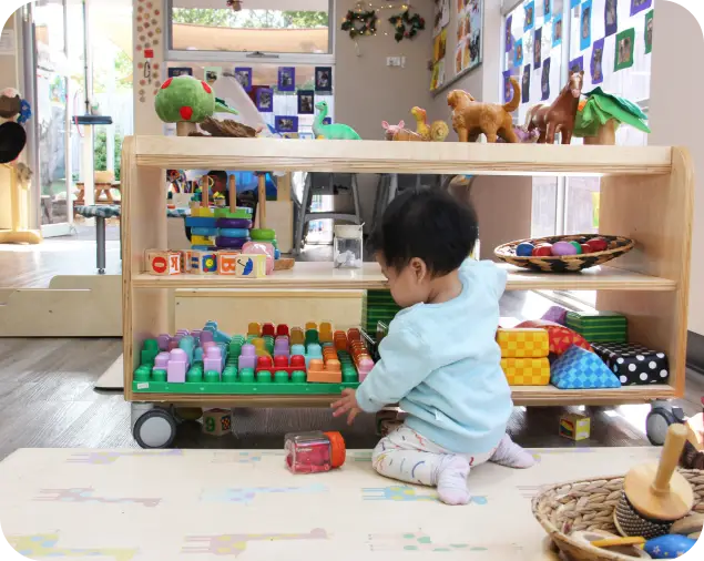 Starfish Early Learning Centre - Blackburn South